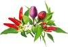 Click & Grow Plant Pod Chili Pepper Mix 9pcs