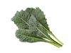 Click & Grow Smart Refill Italian Kale 3pcs