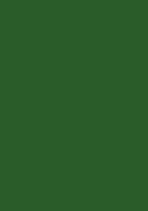 Spalvotas vatmanas A1, 60x84cm, 160g, tamsiai žalios spalvos