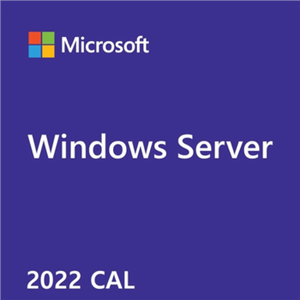 MS 1x Windows Server CAL 2022 English 1pk DSP 1 Clt User CAL (GB)