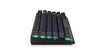 Endorfy Thock 75% Wireless Mechanical Keyboard With RGB (US, Kailh Box Black Switch)