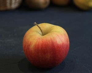 Ekologiški obuoliai CHAMPION - 1 kg