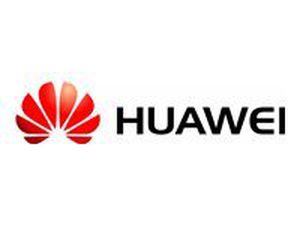 HUAWEI SR430C 1GB Cache LSI3108 -Board ID 0X24-RAID0,1,5,6,10,50,60-Support SuperCap+630mm MiniSAS HD Cable Moudle 12 28 HDD CHASSIS