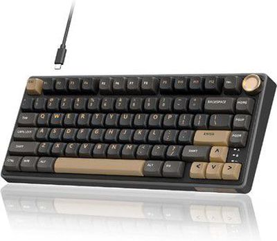 Royal Kludge RK R75 RGB Phantom laidinė klaviatūra | 75%, Hot-swap, Brown switches, US