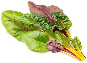 Click  and  Grow Smart Refill Rainbow Chard 3pcs