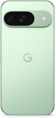 Google Pixel 9 (256GB) wintergreen