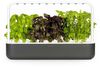 Click & Grow Smart Garden 9, grey