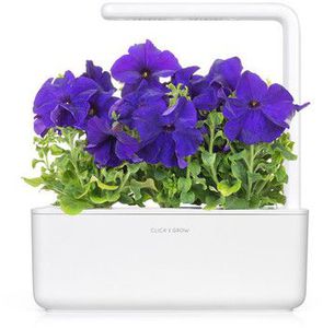 Click  and  Grow Smart Garden refill Blue Petunia 3pcs