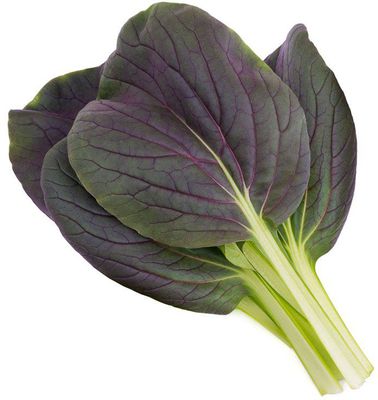 Click & Grow Smart Garden refill Punane Bok Choy 3pcs