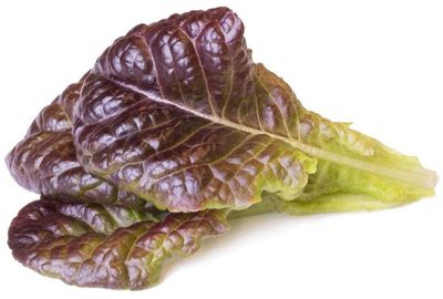 Click & Grow Smart Garden refill Red Lettuce 3pcs