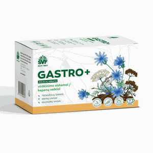GASTRO+ žolelių arbata 1,5 g, N20 
