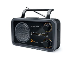 Radijo imtuvas Muse 2-bands M-06DS Grey, AUX in