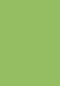 Spalvotas vatmanas A1, 60x84cm,  160g, žalios spalvos