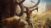 Far Cry Primal and Far Cry 4 Double Pack Xbox One