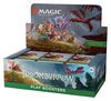 Magic: The Gathering - Bloomburrow Play Booster Display (36 Packs)