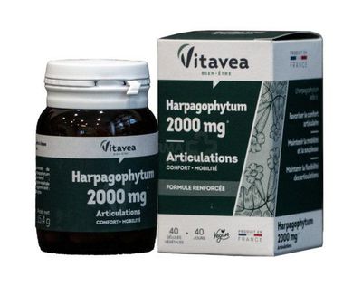 Maisto papildas VITAVEA Gulsčiojo inkaruočio ekstraktas 2000mg N40