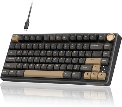 Royal Kludge RK R75 RGB Phantom wired keyboard | 75%, Hot-swap, Brown switches, US