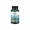 GABA 500 mg kapsulės N100