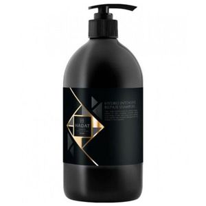 HADAT Hydro Intensive Repair Shampoo Intensyviai atkuriantis šampūnas , 800 ml