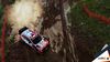 WRC 10 NSW