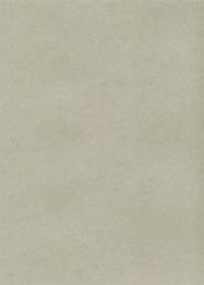 Dekoratyvinis popierius Kreska, A4, 235g, W72, platininės spalvos, 10 lapų