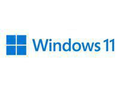 Microsoft Windows 11 Pro 64-bit (tarptautinė versija) pakuotė su USB raktu