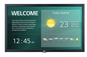 LG Electronics Monitor 22 inches 22SM3G 250cd/m2 16/7