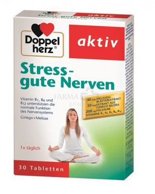 Maisto papildas DOPPELHERZ aktiv Stress - gute Nerven tabletės N30