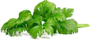 Click  and  Grow Smart Garden Refill Leaf Celery 3pcs