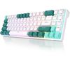 Royal Kludge RK71 TKL  White/green Wireless Mechanical Keyboard | 70%, Hot-swap, Blue Switches, US