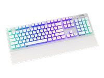 ENDORFY keyboard Omnis OWH P. Kailh RD RGB