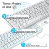 Royal Kludge RK96 White Wireless Mechanical Keyboard | 90%, Hot-swap, RGB, Blue Switches, US