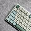 Royal Kludge RK R75 RGB Sky Cyan wired keyboard | 75%, Hot-swap, Chartreuse switches, US