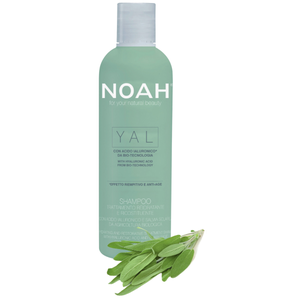 Noah YAL Hydrating And Restorative Treatment Shampoo Atkuriamasis drėkinantis šampūnas su hialurono rūgštimi ir šalaviju, 250 ml 