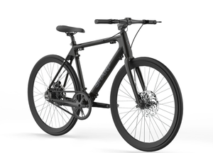 Elektrinis dviratis Sharp Hybrid E-Bike | 250 W | 21" | 24 month(s) | Black