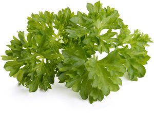 Click & Grow Smart Garden refill Parsley 3pcs