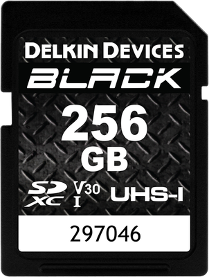 DELKIN SD BLACK RUGGED UHS-I (V30) R90/W90 256GB