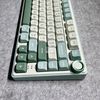 Royal Kludge RK R75 RGB Sky Cyan wired keyboard | 75%, Hot-swap, Chartreuse switches, US