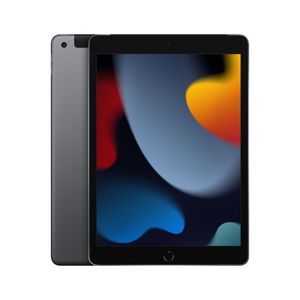 Planšetinis kompiuteris iPad 10.2" Wi-Fi 256GB - Space Grey 9th Gen