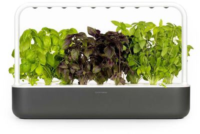 Click & Grow Smart Garden 9, grey