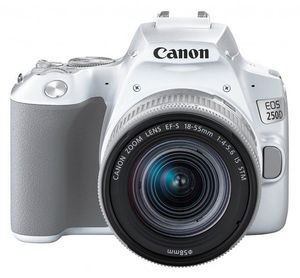 Canon EOS 250D + 18-55mm IS STM (White)