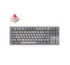 Keychron Q3 80% Retro color mechaninė klaviatūra (ANSI, RGB, Hot-Swap, Gateron G Pro Red Switch)